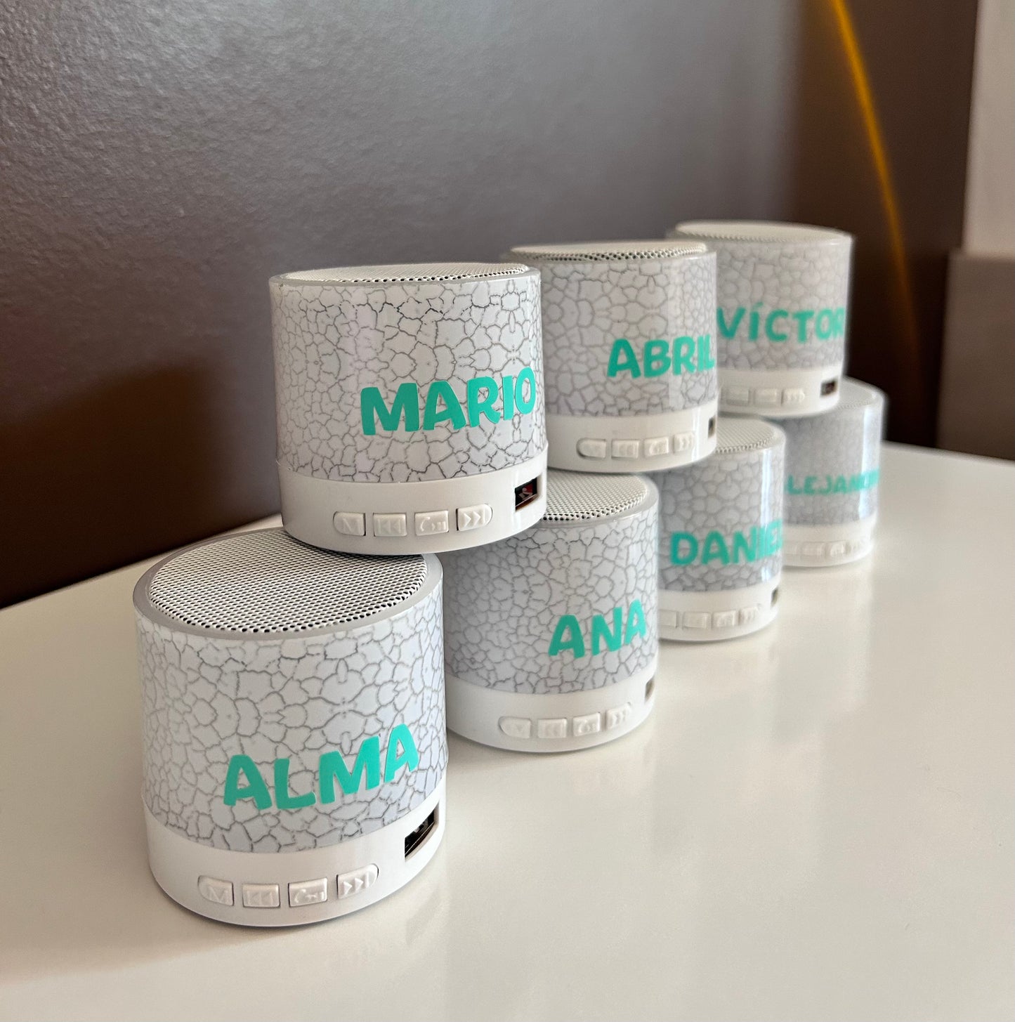 Altavoz Personalizado